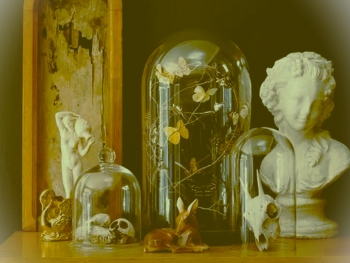 Les curiosités d’Annick