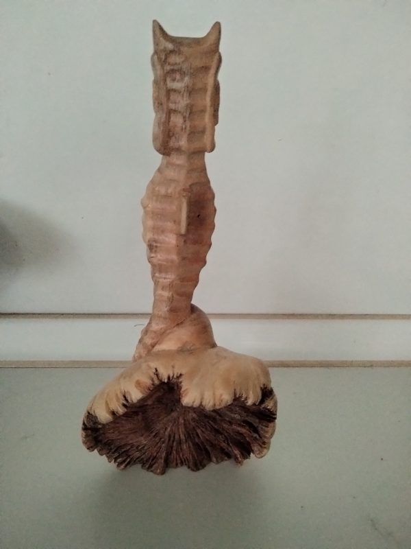 SCULTURE HIPPOCAMPE, BOIS DE PARASITE – Image 4