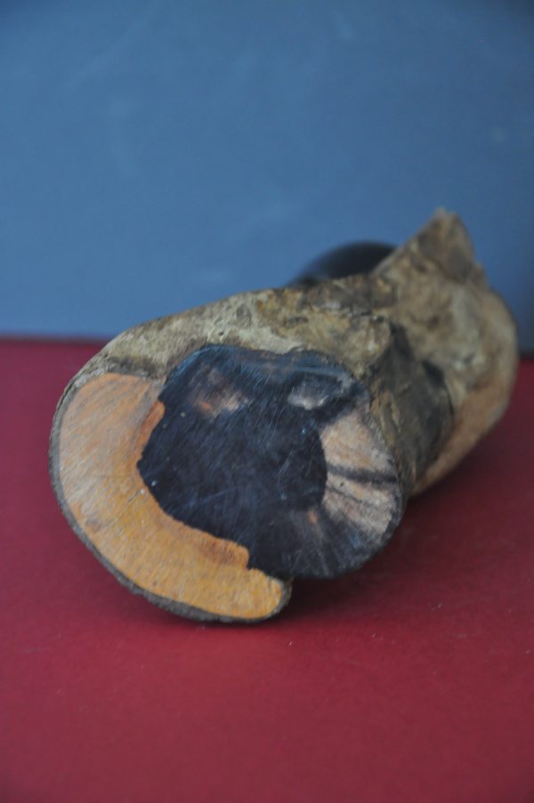  – Image 5
