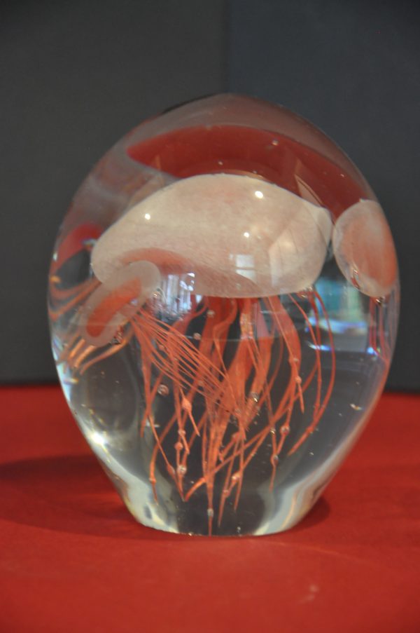 Sulfure en verre decor Meduse