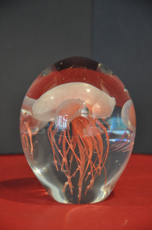 Sulfure en verre decor Meduse – Image 5