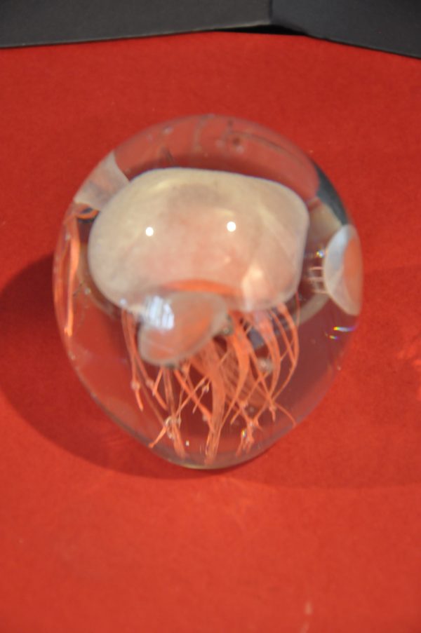 Sulfure en verre decor Meduse – Image 4
