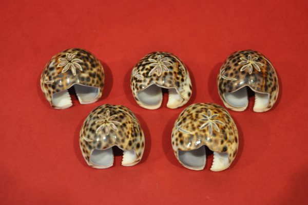 Lot de 5 ronds de serviette en coquillage sculpté